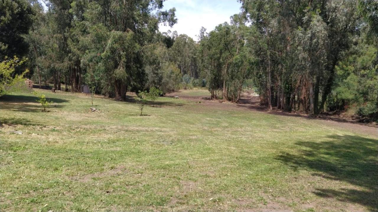 El Bosque De Las Animas Βίλα Ταντίλ Εξωτερικό φωτογραφία